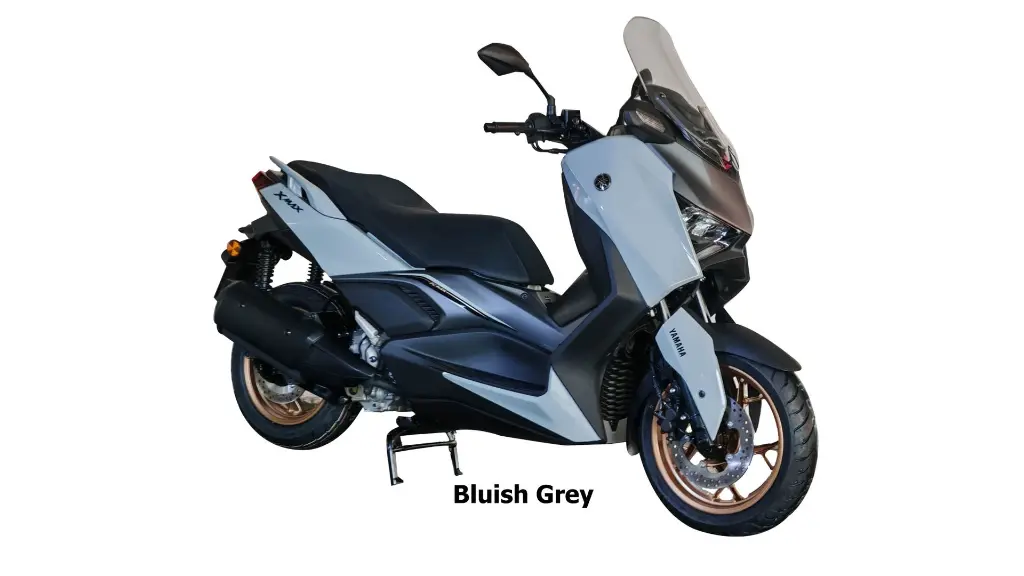 Bluish Grey